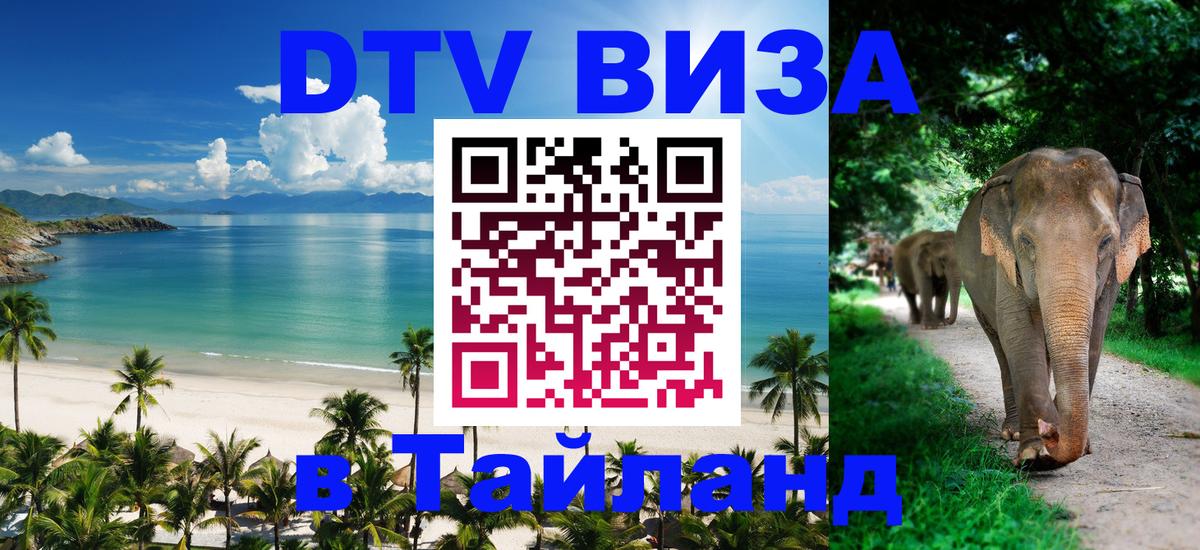 Оформление DTV визы под ключ: стоимость и тарифы, только загранпаспорт - 04.10.2025 